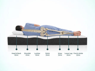 How a 7-Zone Latex Mattress Supports Your Body?