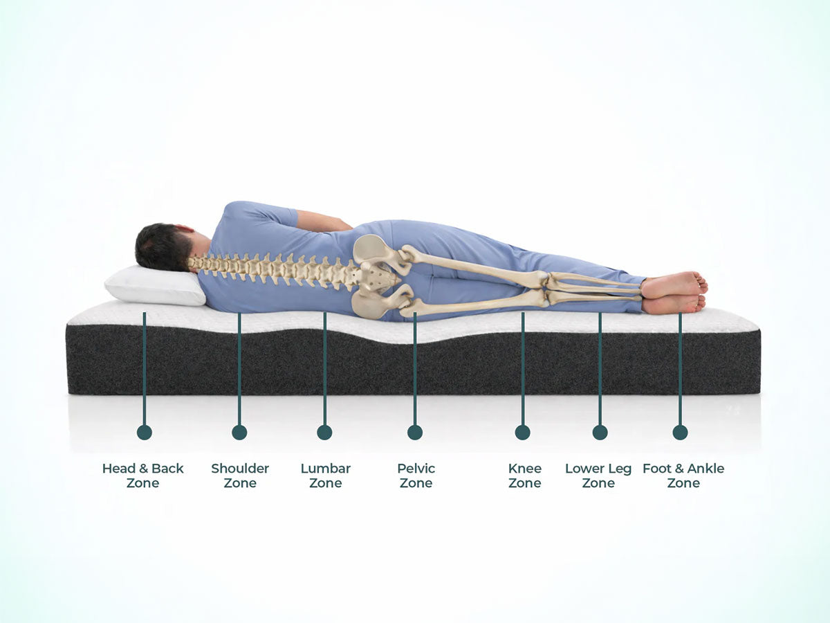 How a 7-Zone Latex Mattress Supports Your Body?