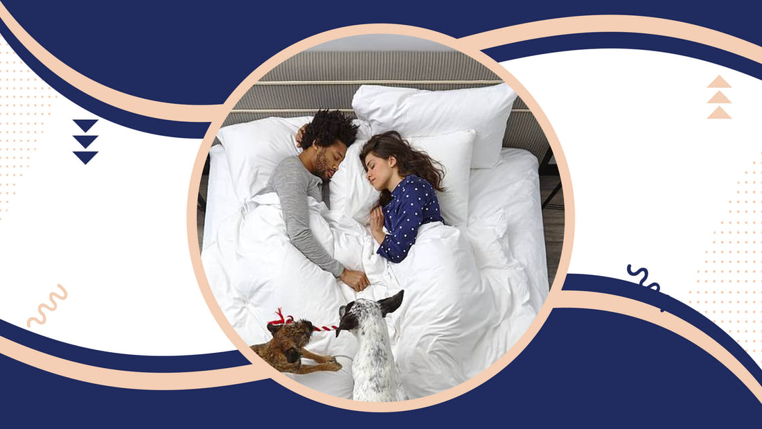 Mattress For Newly Wedded Couples