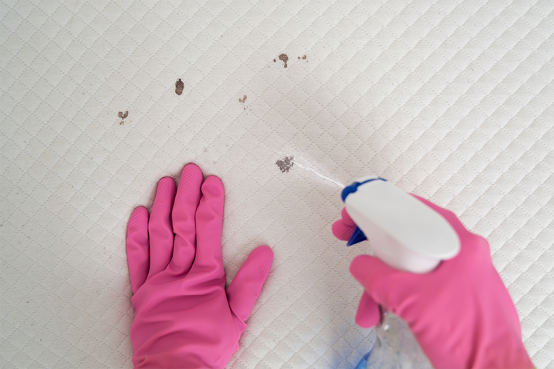 What are the best techniques to remove stains from your mattress1