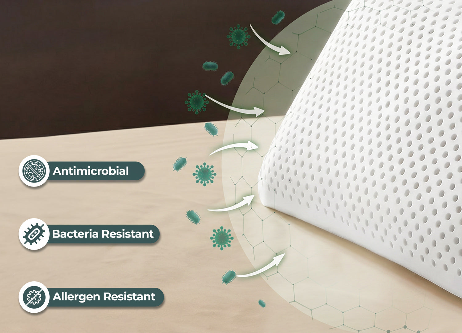 Allergens, Bacteria Resistant