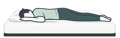 Stomach
