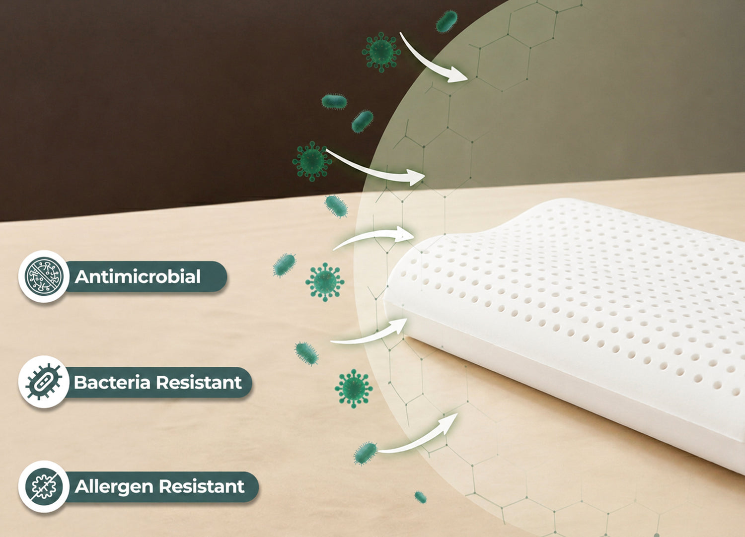 Allergens, Bacteria Resistant