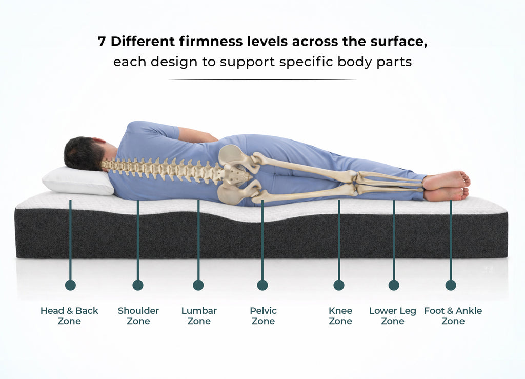 Morning Owl 7 Zone Latex Mattress – 7 Different Firmness Levels Supporting Head, Shoulder, Lumbar, Pelvic, Knee, Lower Leg and Foot Zone – Orthopedic Spinal Support Mattress India