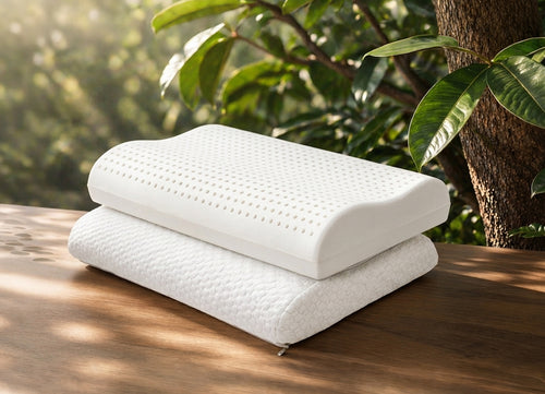 Morning Owl Contour Natural Latex Pillow with Organic Cotton Cover – Chemical Free Ergonomic Pillow India