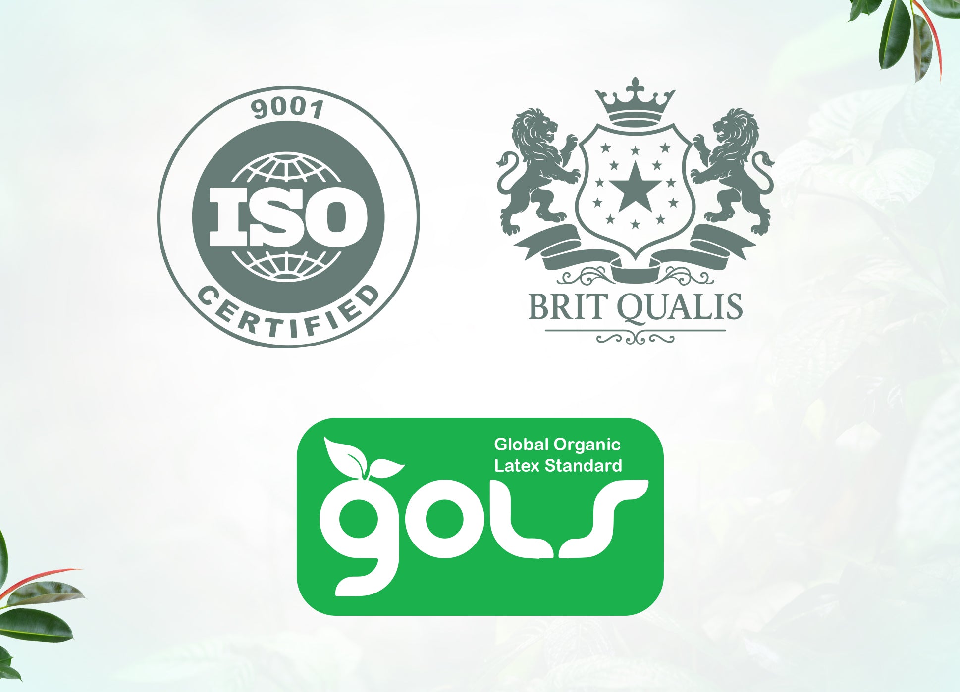Morning Owl Soft Luxurious Natural Latex Mattress ISO and GOLS Certified – Organic India