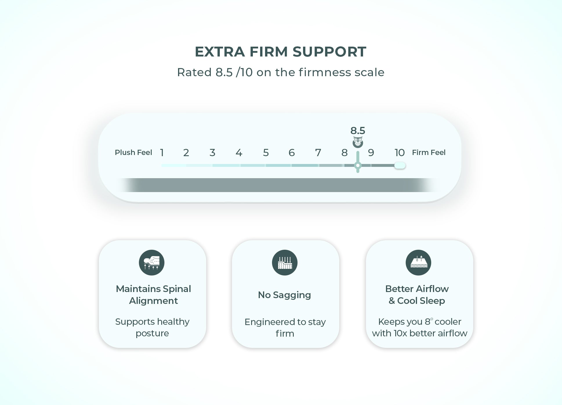 Morning Owl Superia Organic Latex Mattress Extra Firm Support Features & Specifications India