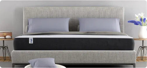 SOFT LUXURIOUS